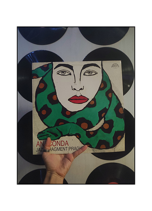 Винил / виниловые пластинки / пластинки / джазовая музыка /anaconda / jazz / jazz music / vinyl /