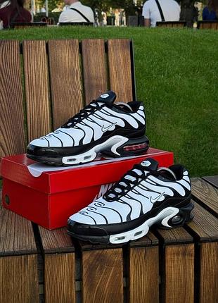 Кросівки nike air tn plus