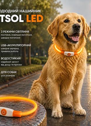 Светодиодный ошейник petsol led для собак, usb-аккумуляторный, 3 режима, водостойкий, оранжевый