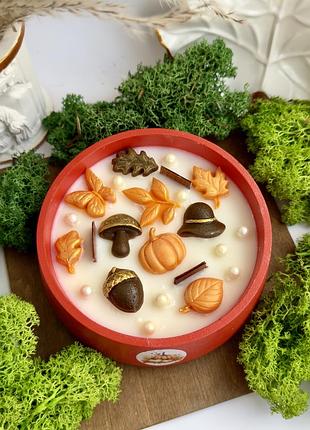 Соєва свічка «pumpkin season» 3
