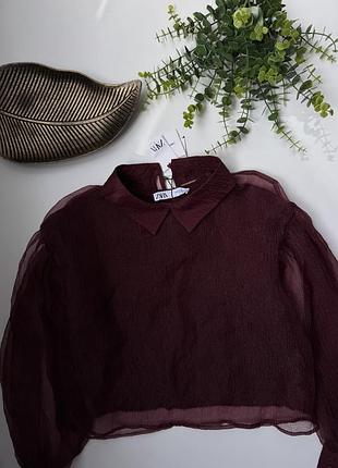 Блуза в кольорі бургунді zara