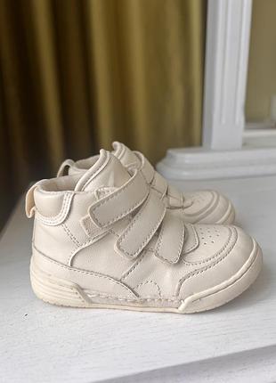 Хайтопи кеди zara 23 розмір