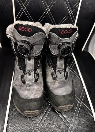 Жіночи трекінгові черевики ecco women biom terrain akka boa mid gtx 4