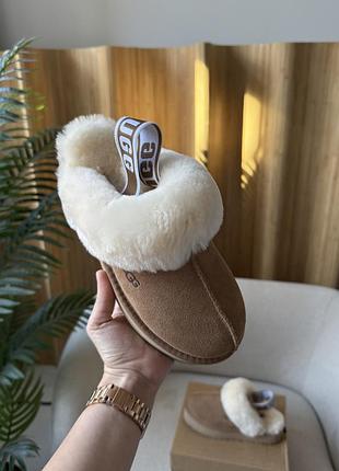 Ugg disquette slippers chestnut 3