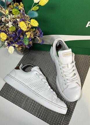 Оригинальные кроссовки adidas