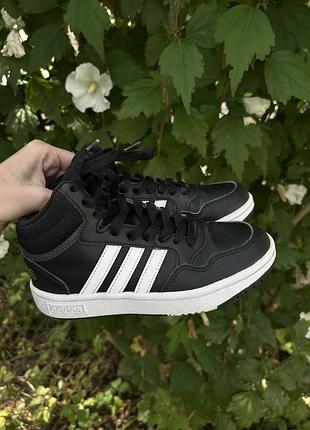 Кросівки хайтопи adidas