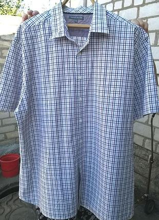 Чоловіча сорочка. нова. 100% бавовна. xxl.