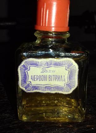 Красные паруса 6