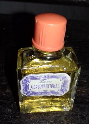 Красные паруса 7