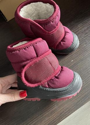Чоботи сапоги alisa line
