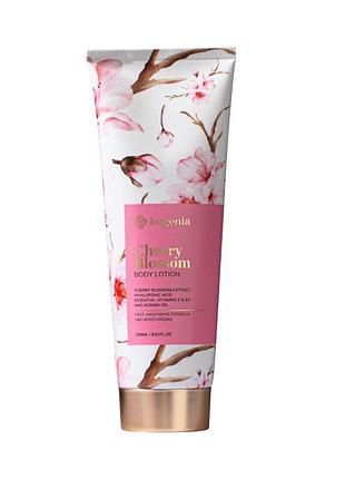 Лосьйон для тіла bogenia body lotion cherry blossom зволожувальний 236 мл (bg425(002)) daily skin care
