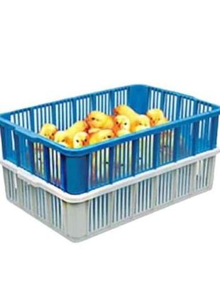 Ящик для перевозки курчат 145х400х630 тм консенсус