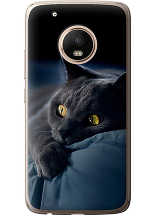 Чохол на motorola moto g5 plus димчастий кіт "825u-1038-851"