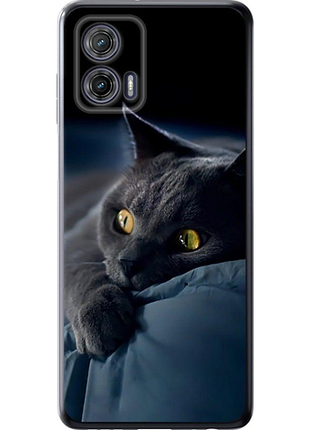 Чехол на motorola g73 дымчатый кот "825u-3196-851"