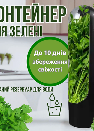 Органайзер-контейнер для зберігання зелені herb saver, чорний