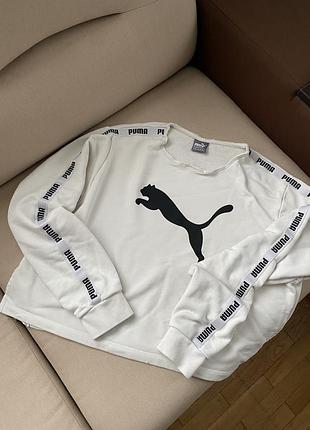 Світшот з лямпасами puma