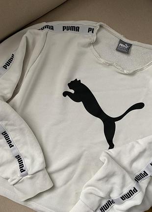 Світшот з лямпасами puma 2