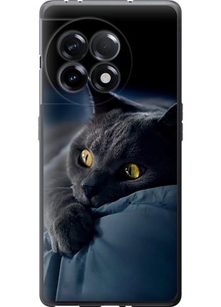 Чохол на oneplus 11r димчастий кіт "825u-2939-851"