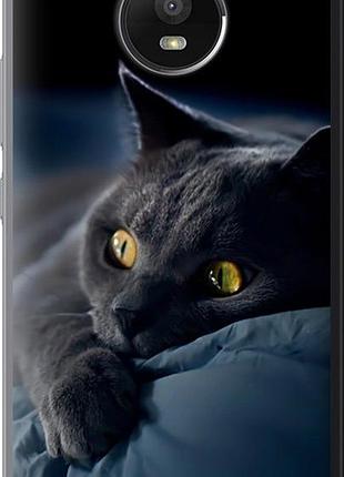 Чехол на motorola moto e4 plus дымчатый кот "825u-1000-851"
