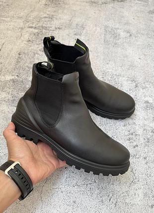 Шкіряні жіночі челсі ecco grainer / tredtray chelsea  оригінал