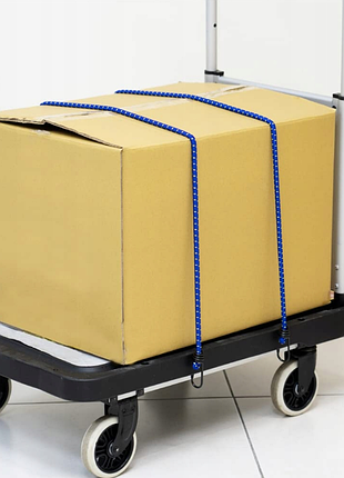Ремені amazon basics bungee для транспортування, 12 шт 4