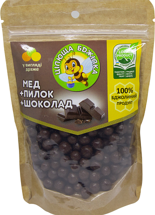 Цілюща бджілка (мед+пилок+шоколад) 150гр