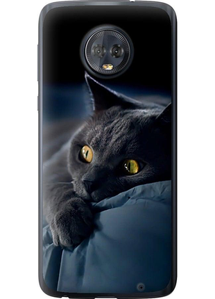 Чохол на motorola moto g6 plus димчастий кіт "825u-976-851"