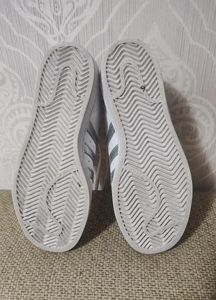 Кеди adidas superstar 5