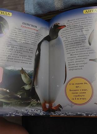 Книга мир вокруг нас 2