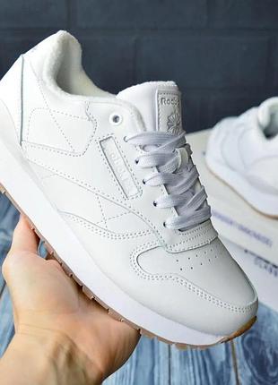 Женские кроссовки reebok classic белые рибок кожаные (размеры: 36,37,43)