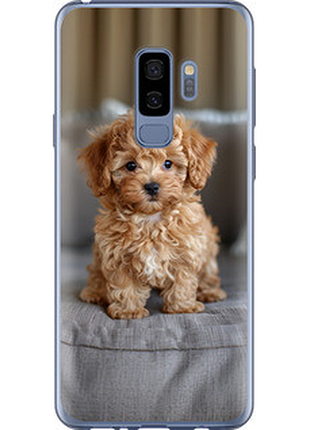 Чехол на samsung galaxy s9 plus mini-maltipoo "6158u-1365-851"