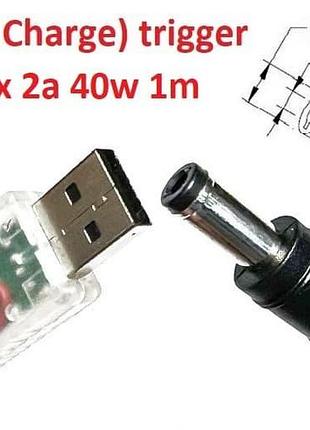 Кабель-перехідник тригер qc (quick charge) 20v usb type-a (max 2a, 40w) на 5.5x2.5mm 1.2m з usb type-a (male) quick charge qc