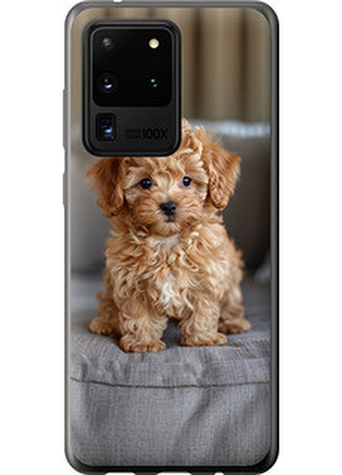 Чехол на samsung galaxy s20 ultra mini-maltipoo "6158u-1831-851"