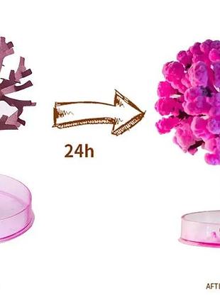 Волшебное растущее дерево из бумаги сакура magic sakura искусственный цветок сакуры 4