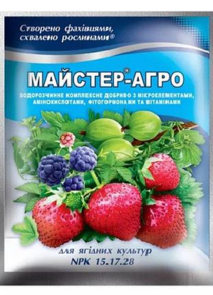 Майстер-агро для ягідних культур 100 г