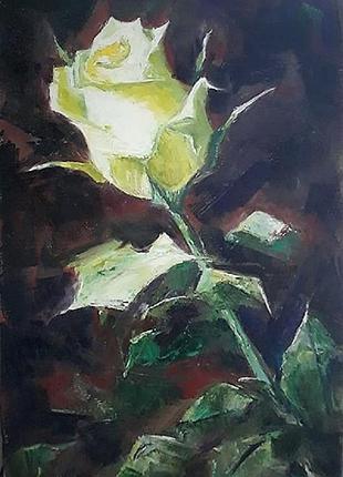 Картина "бело-зеленая роза", 30х20 см, 2019