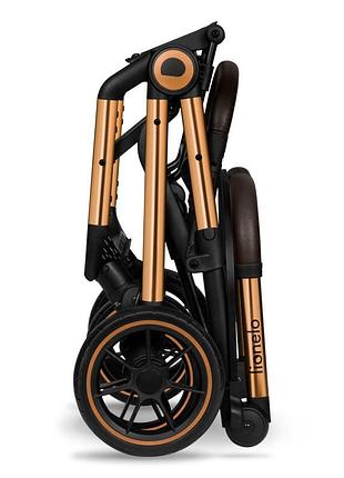 Прогулочная коляска lionelo cloe black onyx 4