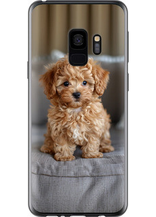 Чохол на samsung galaxy s9 mini-maltipoo "6158u-1355-851"