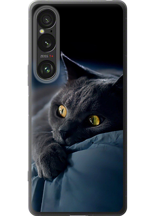 Чохол на sony xperia 1 vi димчастий кіт "825u-3975-851"