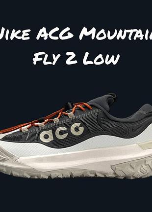 Nike acg mountain fly 2 low grey white beige 5