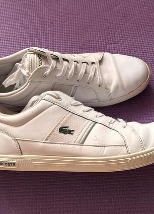 Кеди білі lacoste розмір 45 чоловічі