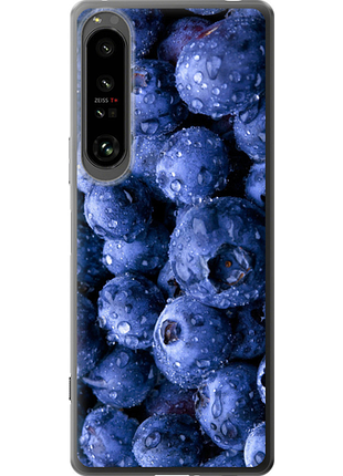 Чохол на sony xperia 1 iv лохина "4459u-2787-851"