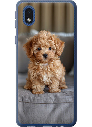Чехол на samsung galaxy a01 core a013f mini-maltipoo "6158u-2065-851"