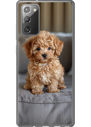Чехол на samsung galaxy note 20 mini-maltipoo "6158u-2036-851"