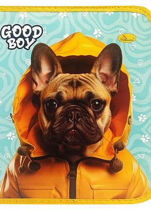Папка для тетрадей на молнии "good boy french bulldog" ап-1001-3