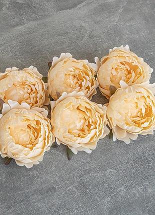 Головка пиона, бежевая, 10 см elisey