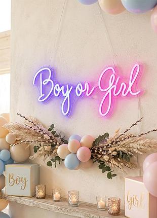 Світлодіодна (led) неонова вивіска "boy or girl", від мережі, синьо-рожева, 50*20 см elisey