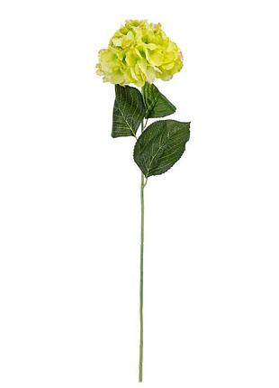 Гортензия (74 см) elisey