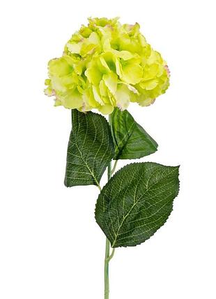Гортензия (74 см) elisey 2