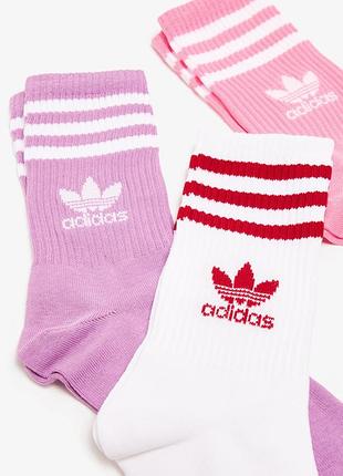 Шкарпетки жіночі набір 3 пари adidas originals